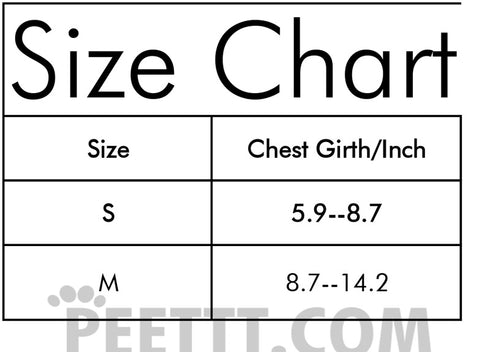 Christmas Kitten Collar with Bell